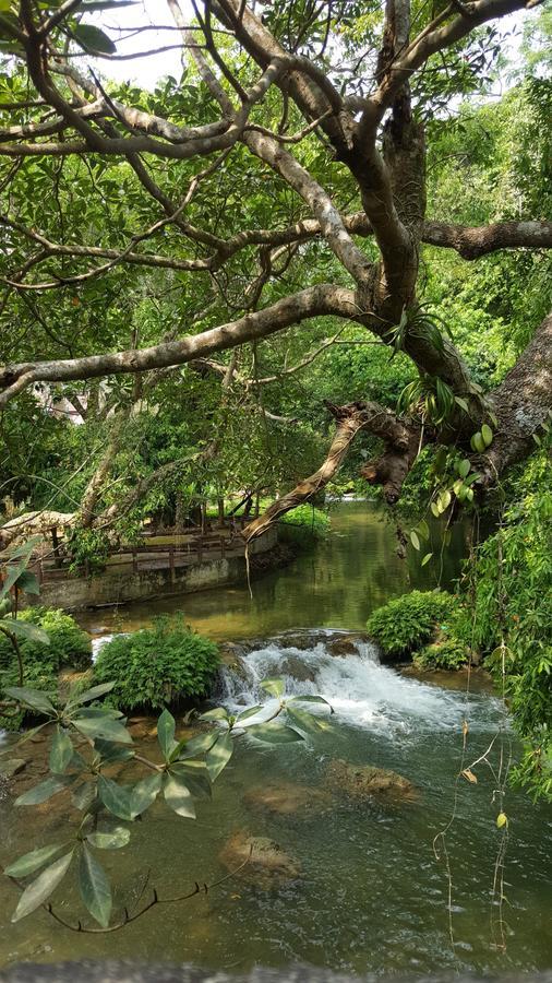 Khao Nam Fah Resort Pakchong Luaran gambar